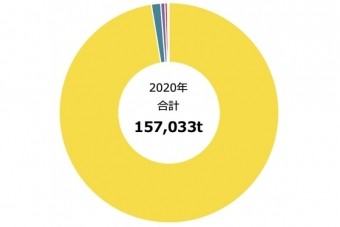 生鮮果実輸入統計ーパイナップル（2020年）