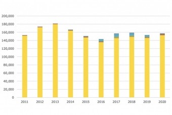 輸入量推移ーパイナップル（2011〜2020年）