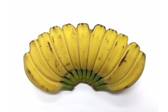 【バナナの品種・種類】リンキッド