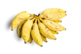 【バナナの品種・種類】ラツンダン